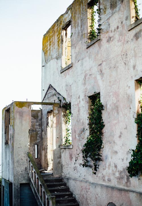 remains of warden's house with ivy growing in the window frame, alcatraz island