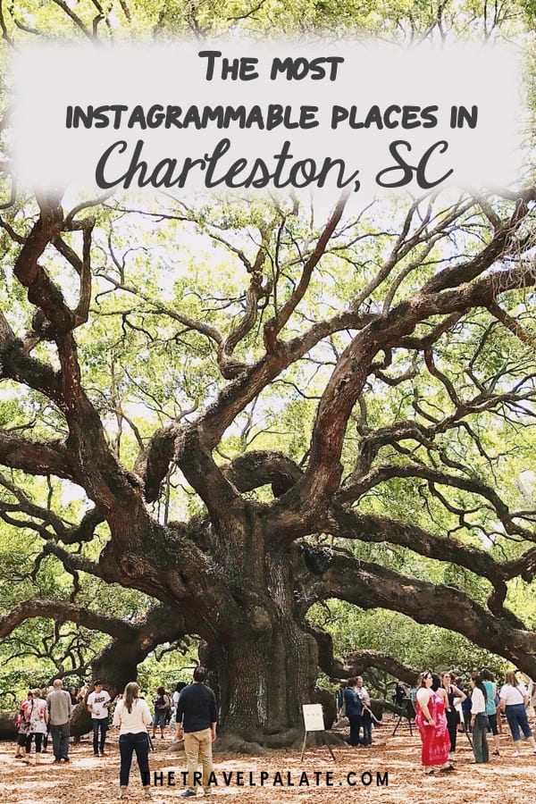 angel oak tree in charleston, south carolina