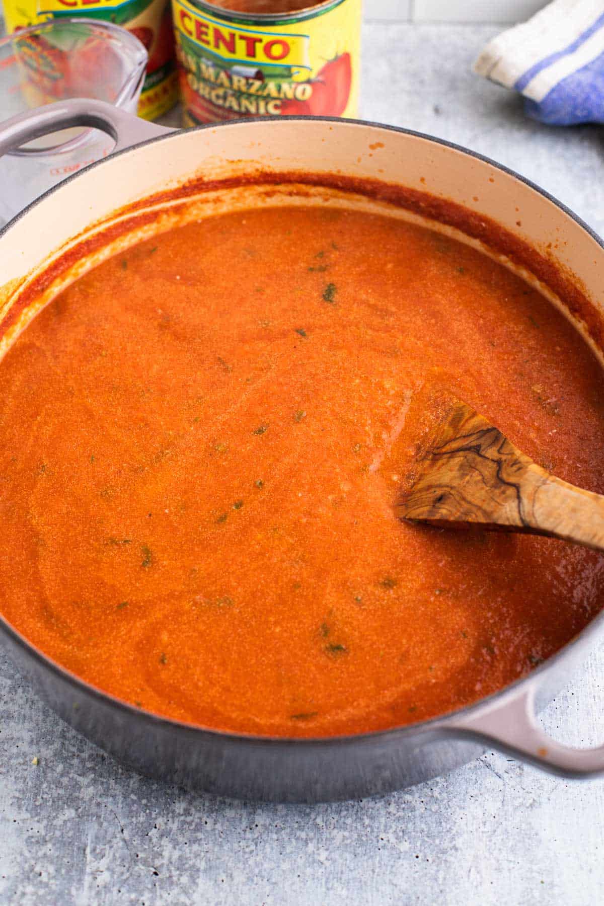 a large stock pot with tomato soup