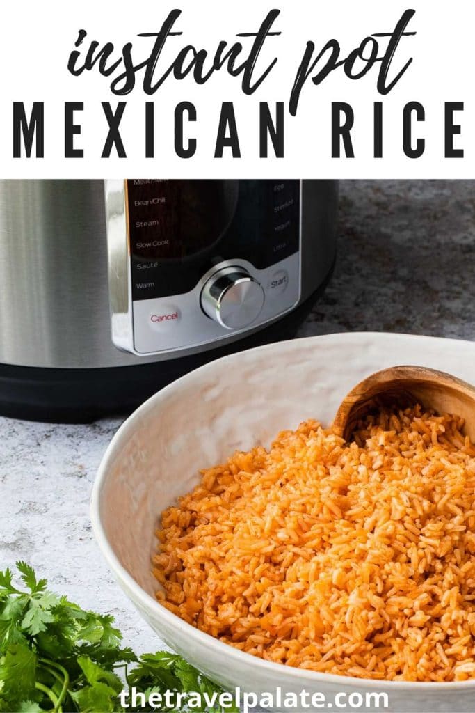 close up of rice in a white bowl instant pot in background