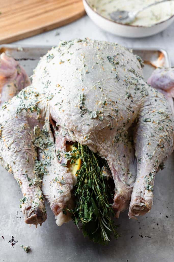 raw whole turkey covered in orange herb butter
