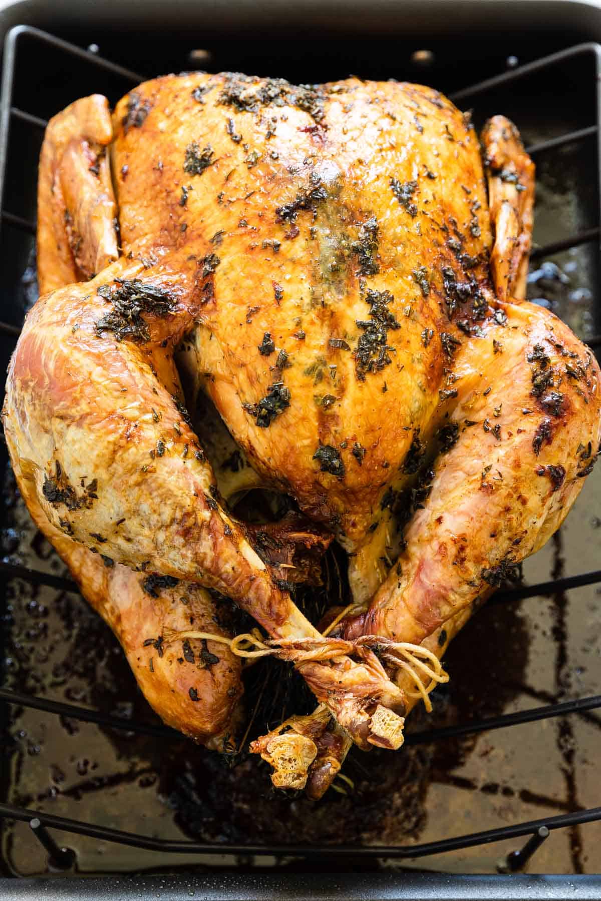 roasted whole turkey in a roasting pan