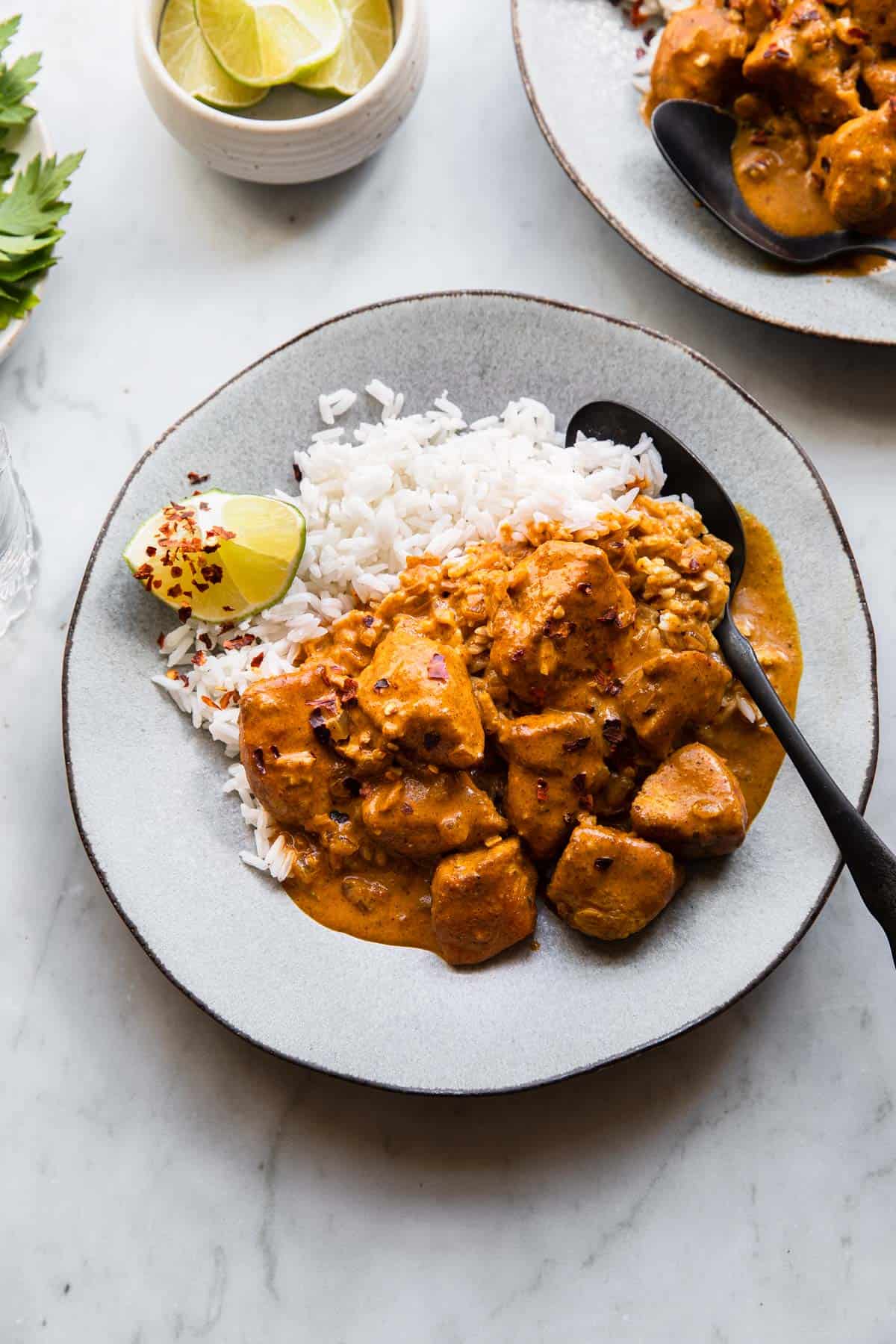 A plate of curry chicken with rice.