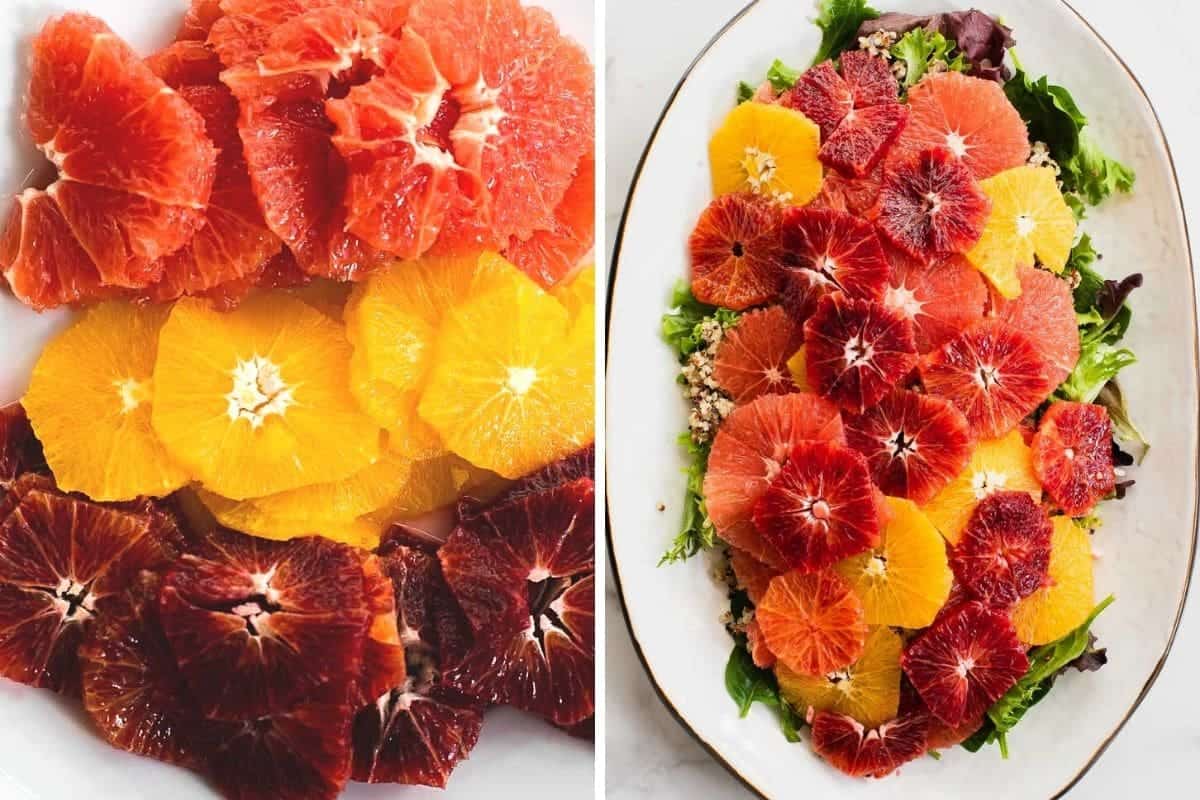 slices of a variety of oranges topped on a bed of greens