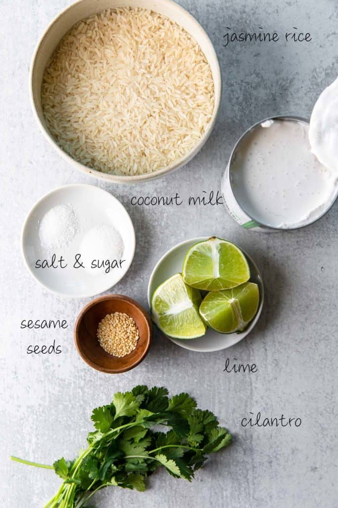 Instant Pot Coconut Jasmine Rice The Travel Palate