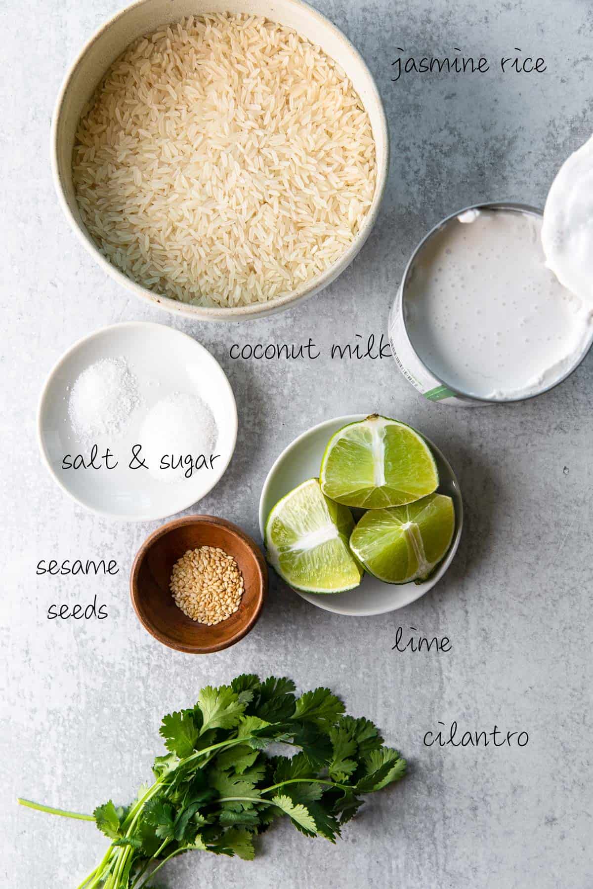 ingredients to make coconut jasmine rice recipe