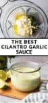 the best cilantro garlic sauce