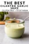 cilantro garlic sauce gluten free and vegetarian