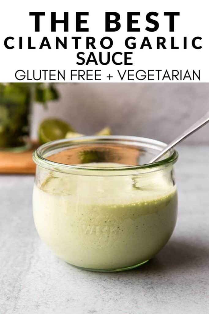 cilantro garlic sauce gluten free and vegetarian
