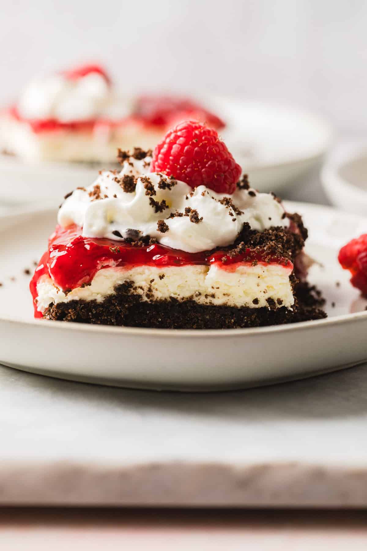 chocolate raspberry dessert on a white plate