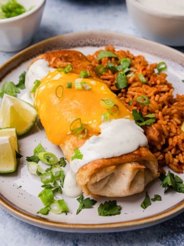 a plate of pollo fundido with red rice on the side