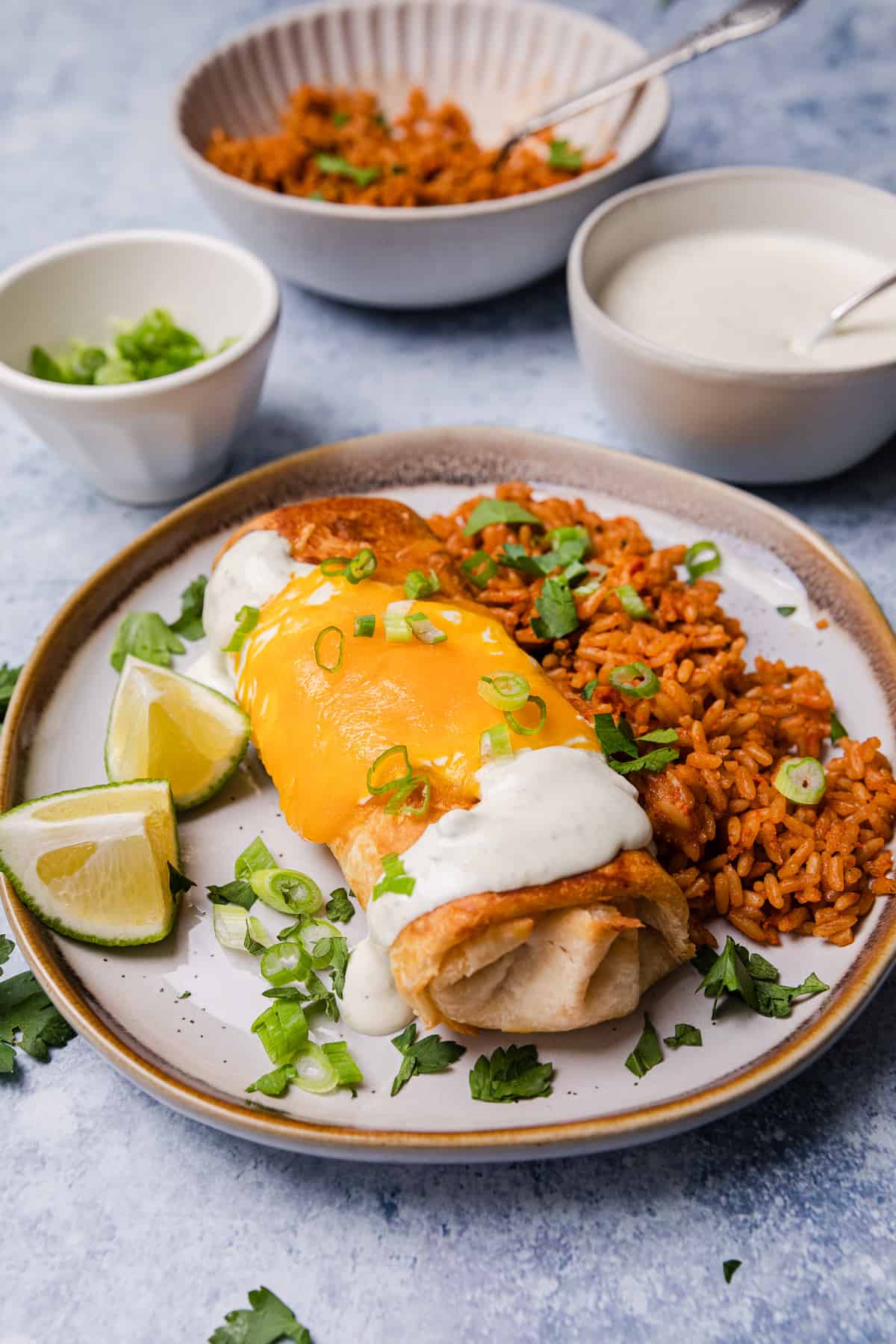 a plate of rice and a burrito covered in sauce and melted cheese