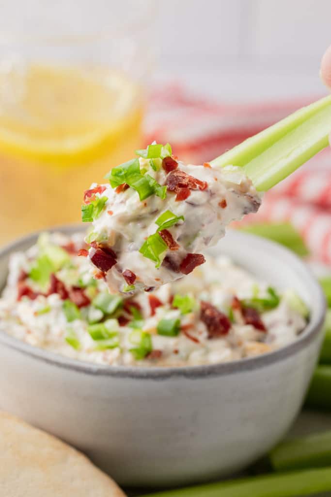 Beef Jerky Dip 10 Minute Easy Recipe The Travel Palate