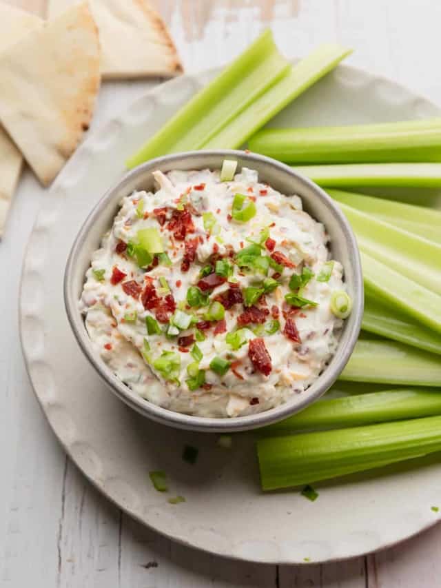 Beef Jerky Dip The Travel Palate