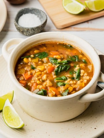 panera 10 vegetable soup recipe