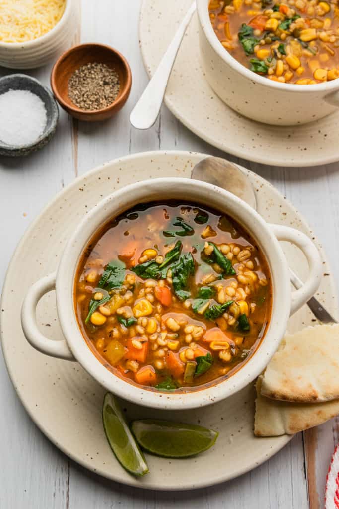 Panera 10 Vegetable Soup Recipe - The Travel Palate