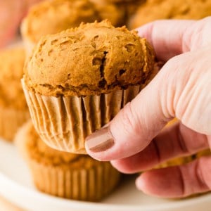 two ingredient pumpkin muffins