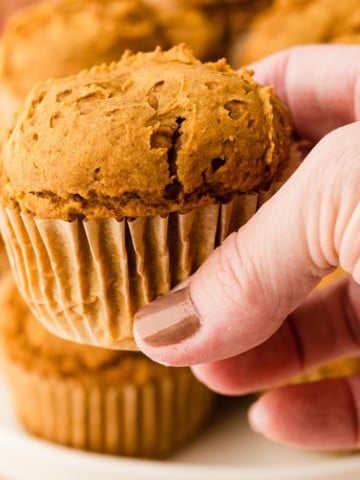 two ingredient pumpkin muffins