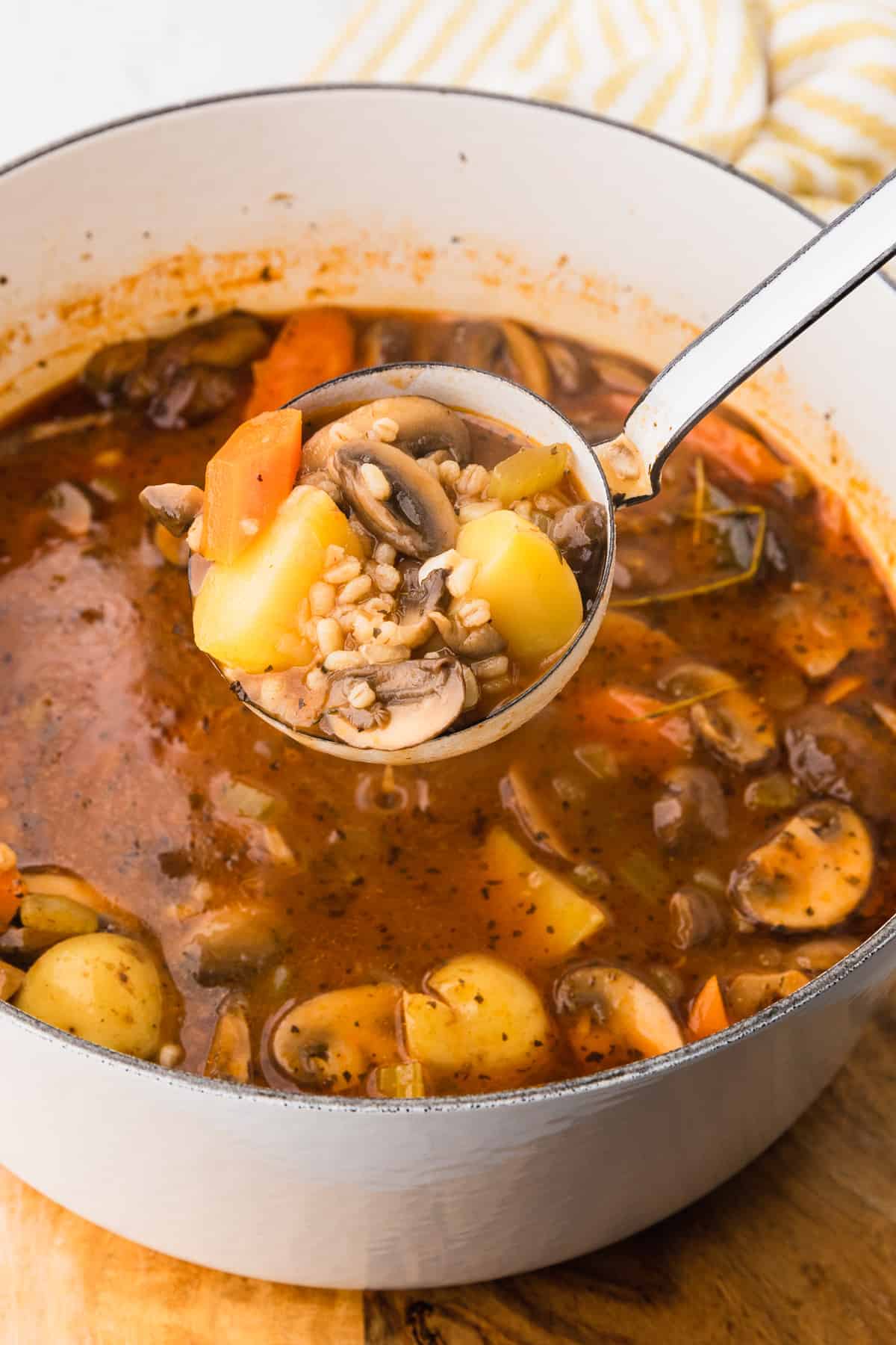 a ladle full of vegetable stew