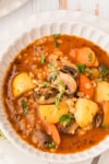 vegetable stew in a bowl