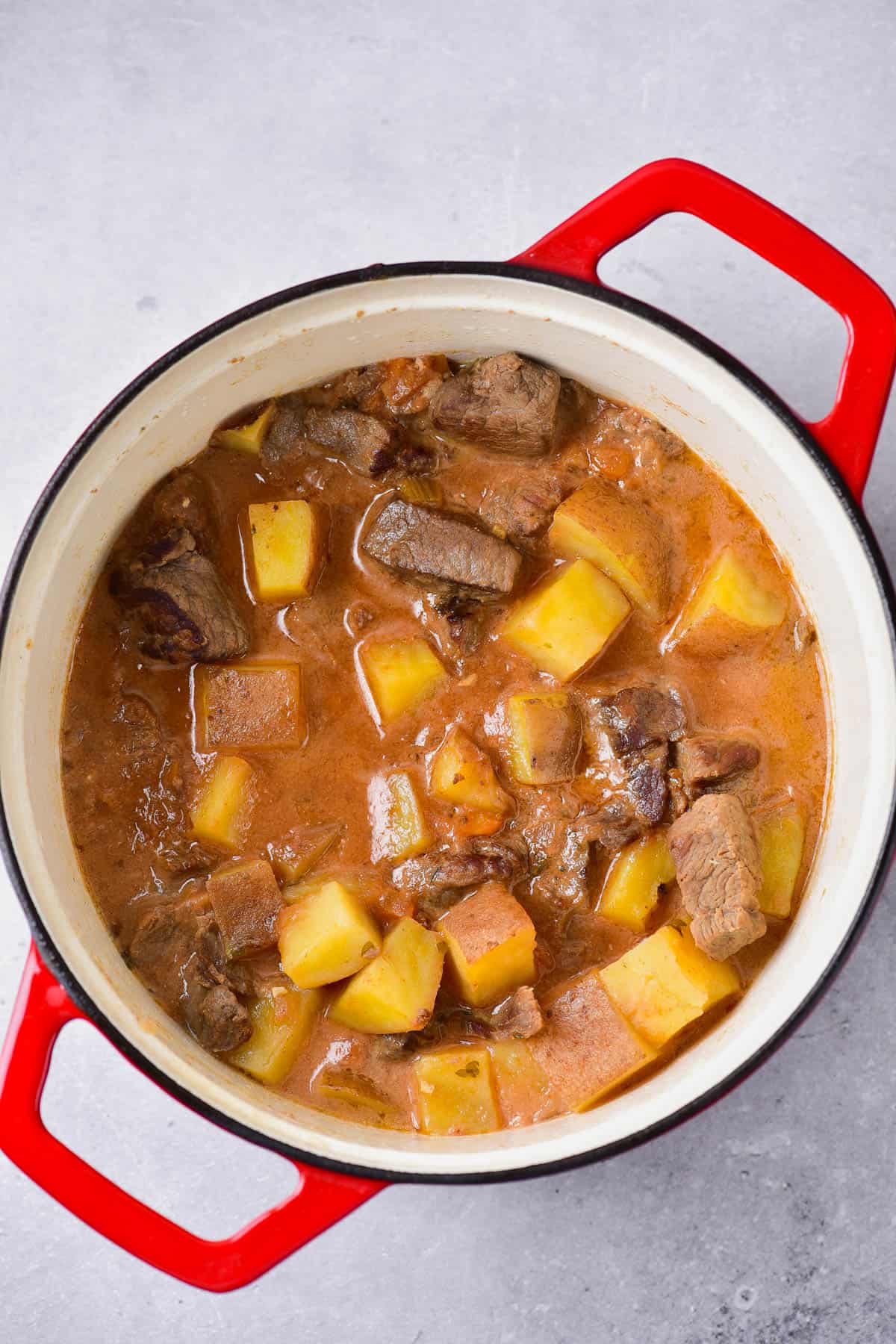Completed stew recipe in a dutch oven