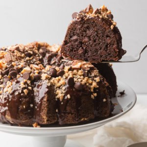 A slice of chocolate dream cake.