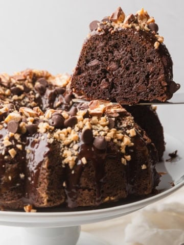 A slice of chocolate dream cake.