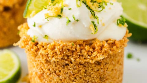 no-bake-key-lime-pie-29-