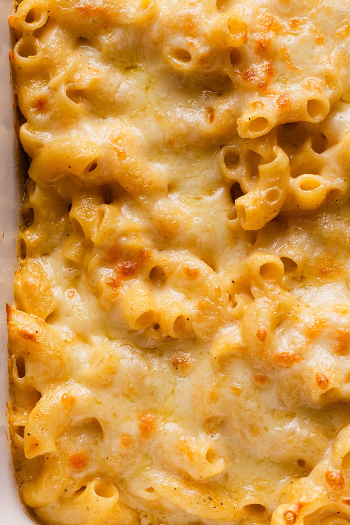The completed mac and cheese in a baking dish.