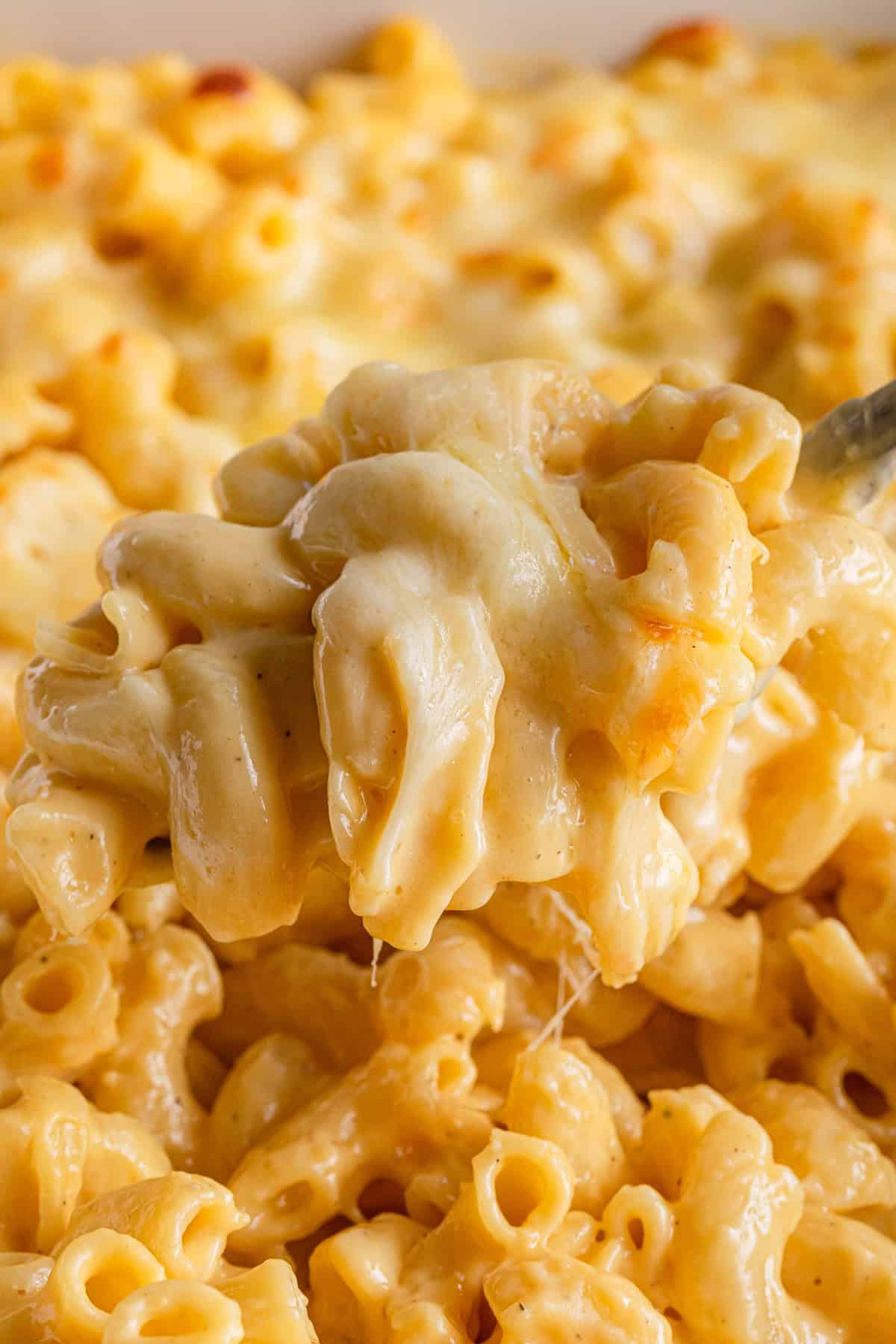 A scoop of baked mac and cheese.