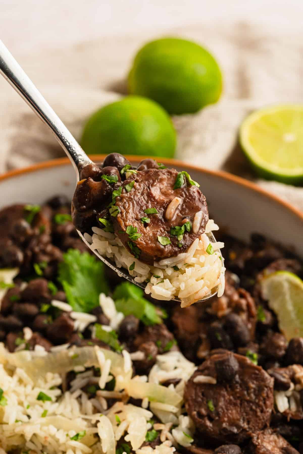 A spoonful of the completed recipe.