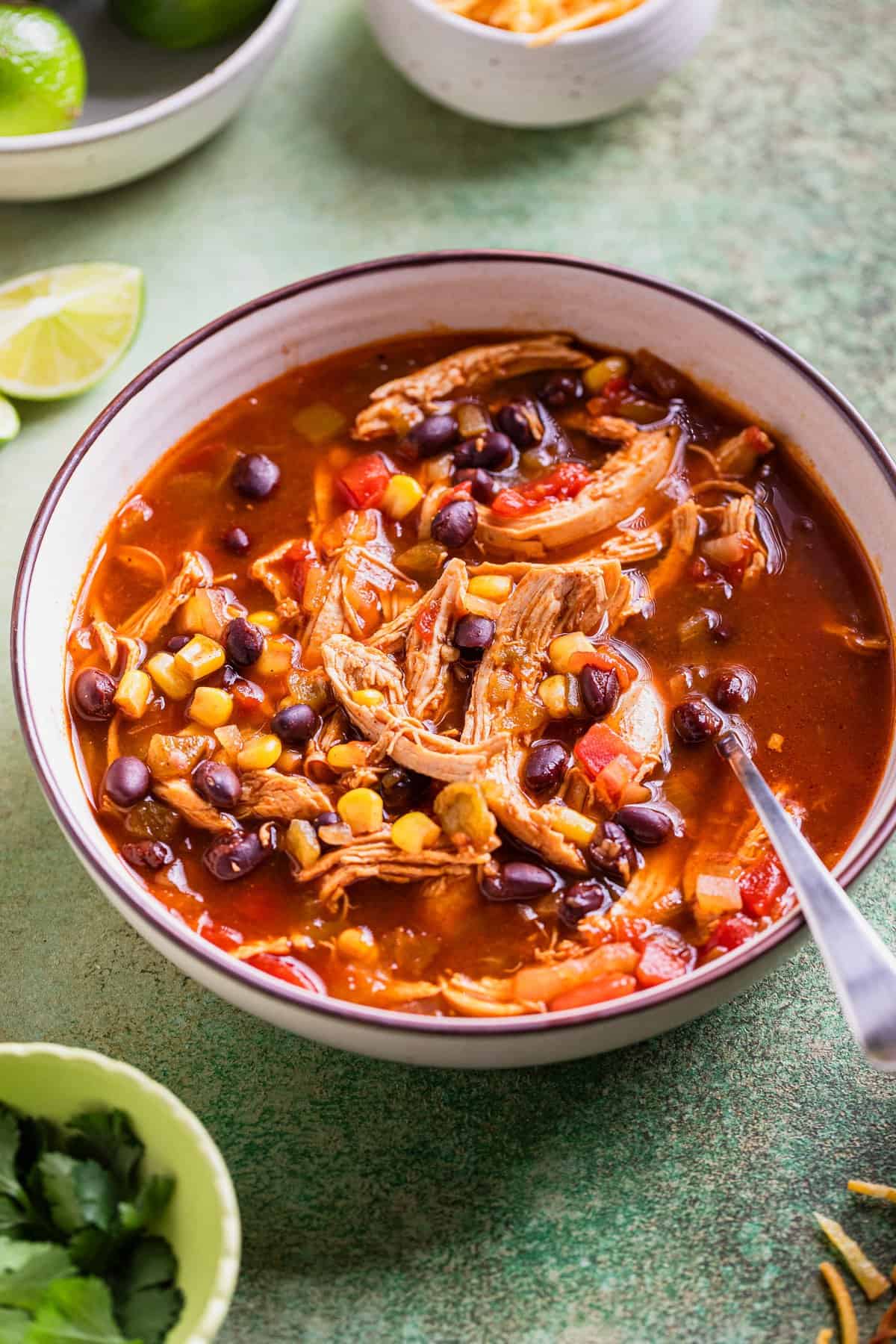 A bowl of soup before adding the tortillas.