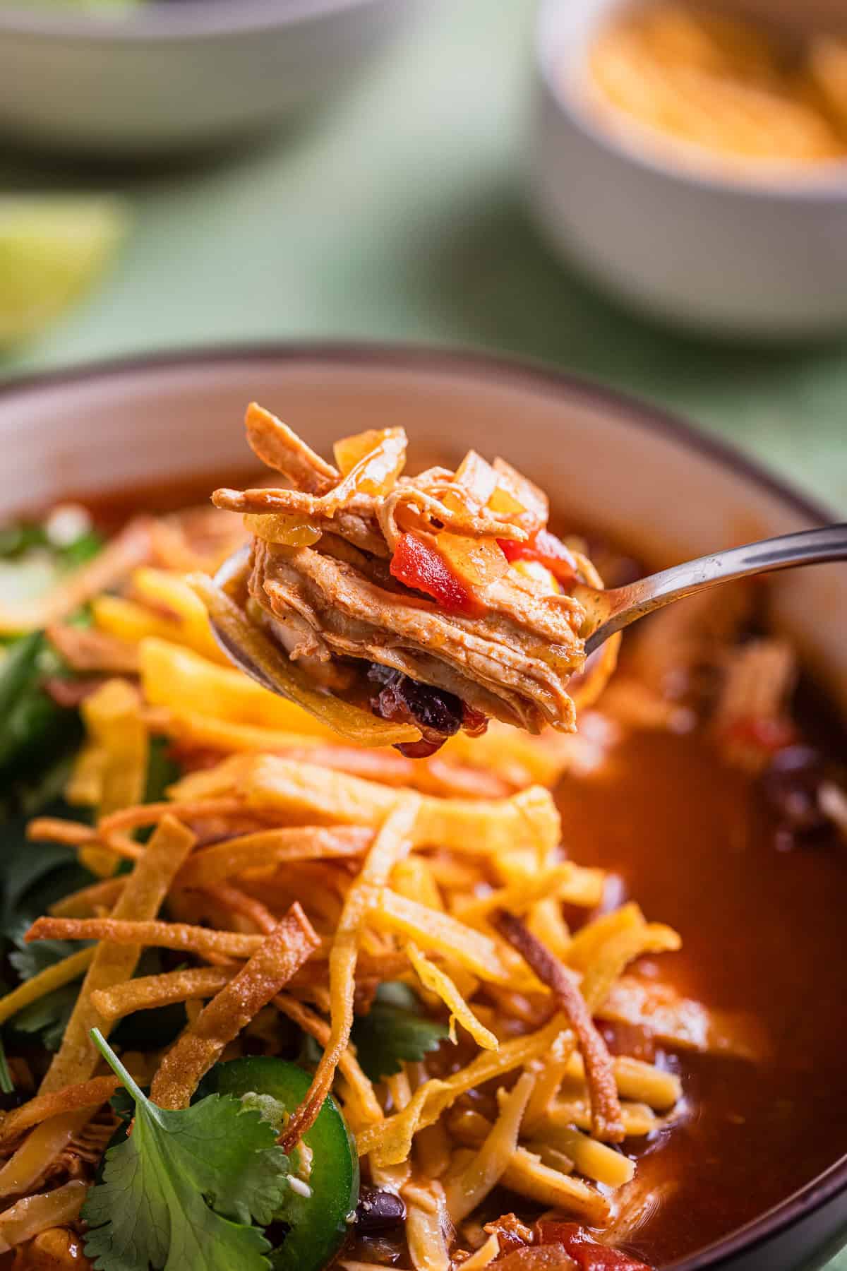 A spoonful of the soup.