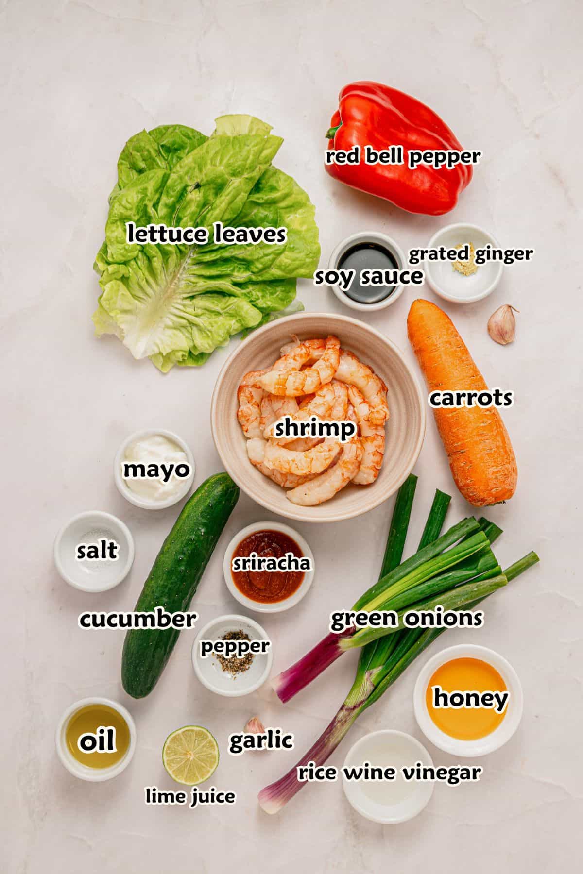 Ingredients to make the recipe.